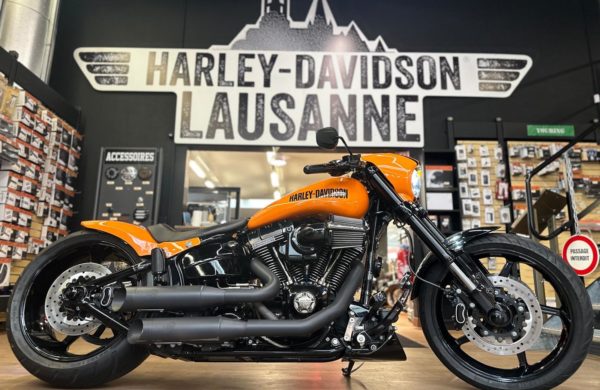 WhatsApp Image 2026-02-23 at 08.49.26 (17)